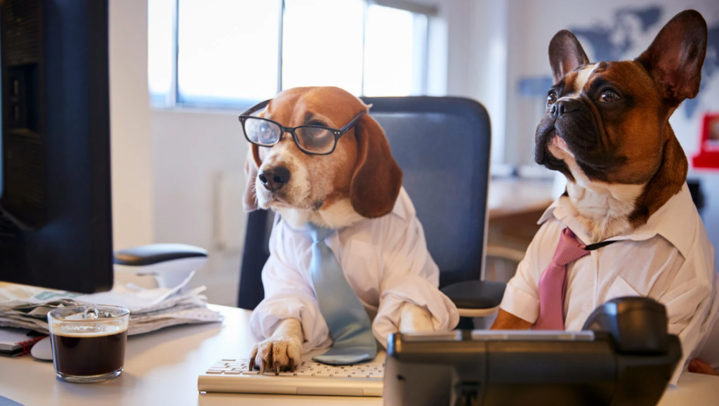 Property manager reviewing pet screening application on tablet with happy tenant and dog